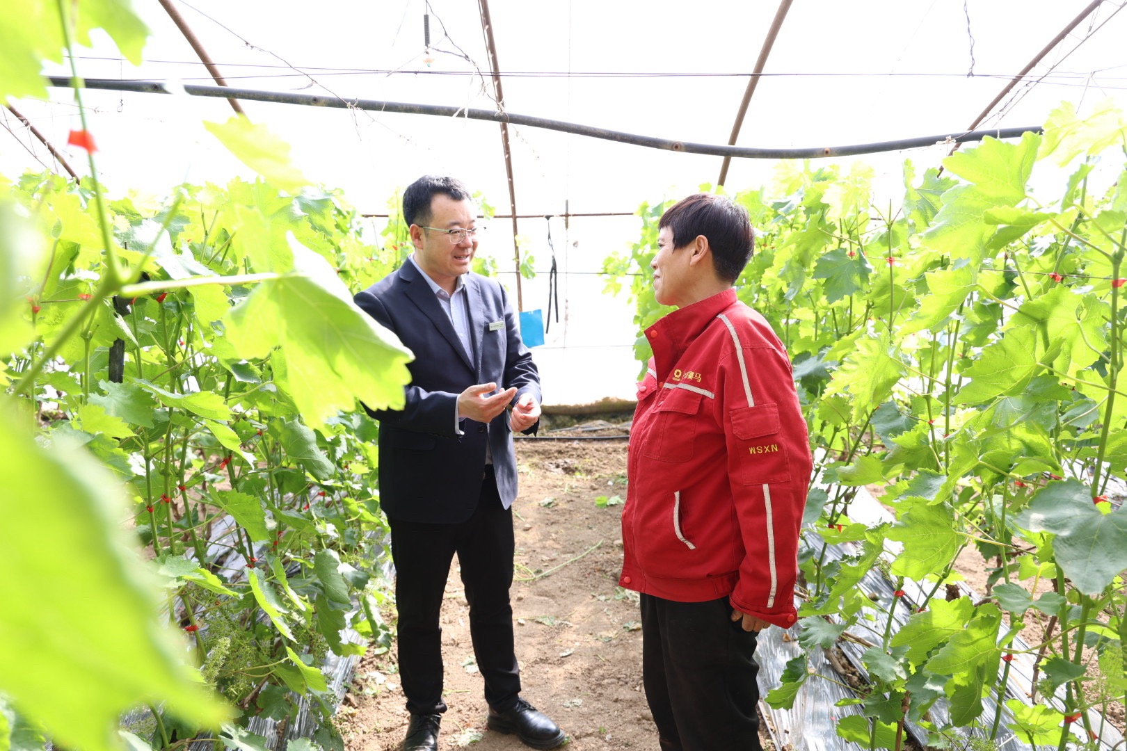 新增投放41.24亿元 黄河银行累计投放春耕涉农贷款316.6亿元